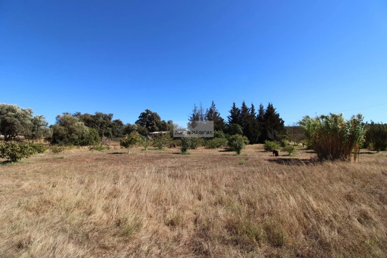 Quinta T1 para Venda em Lagos (São Sebastião e Santa Maria) Foto 4