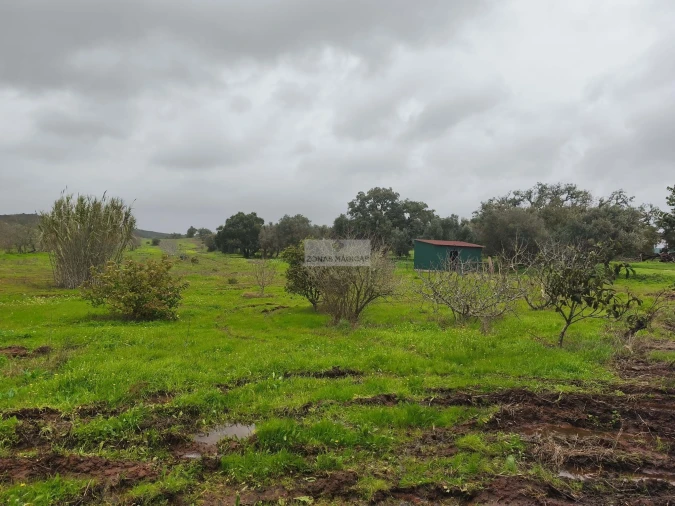 Quinta T1 para Venda em Lagos (São Sebastião e Santa Maria) Foto 3