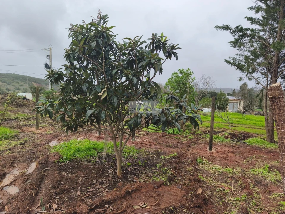 Quinta T1 para Venda em Lagos (São Sebastião e Santa Maria) Foto 15