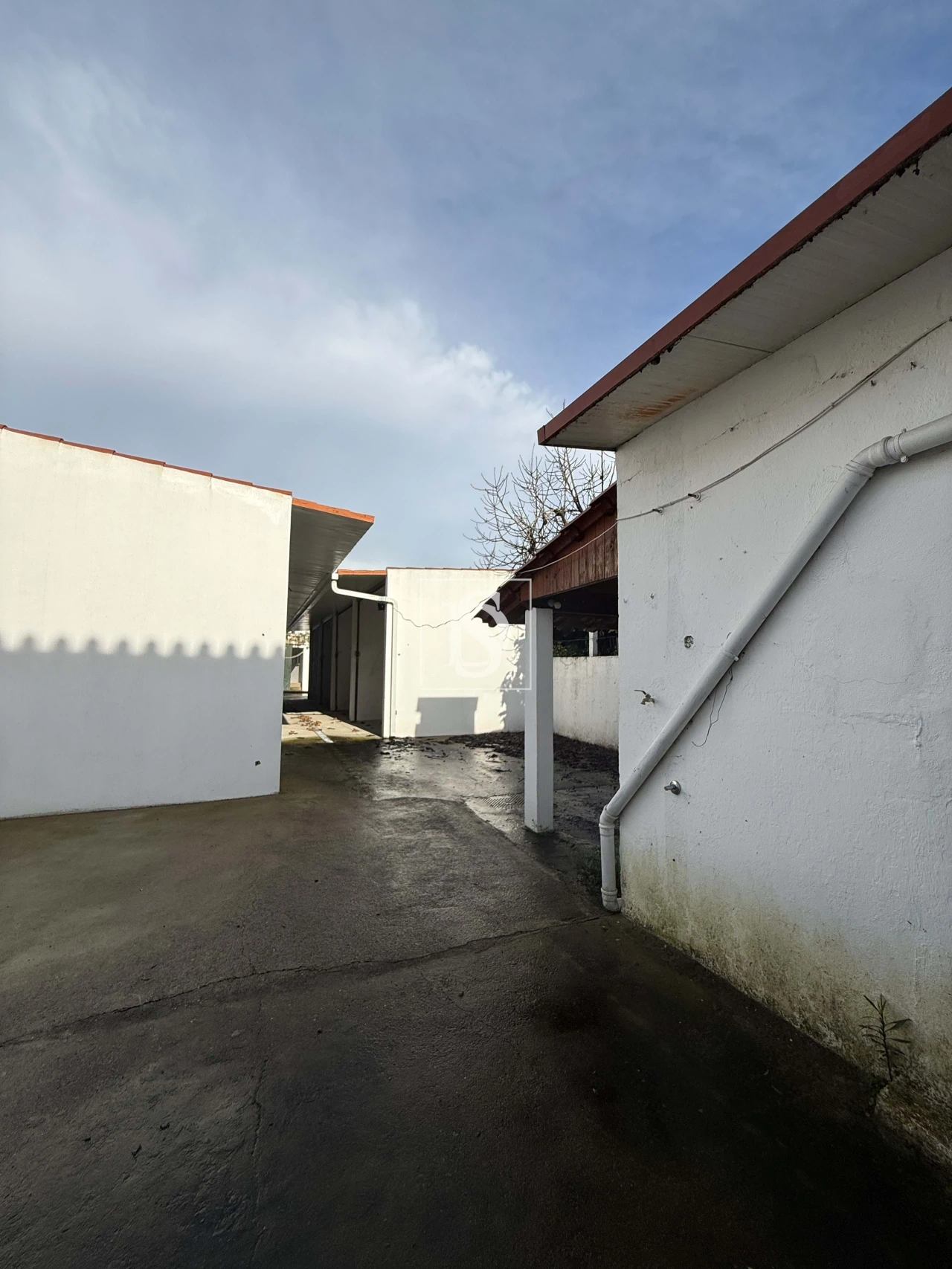 Moradia T5 para Venda em Golegã Foto 17