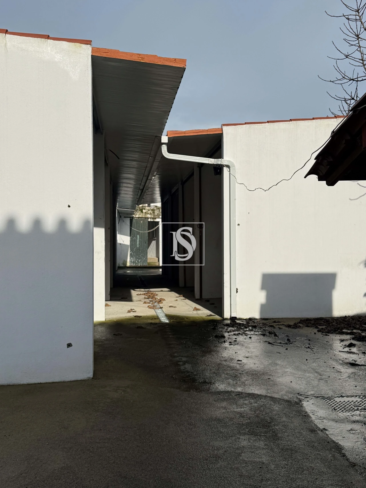 Moradia T5 para Venda em Golegã Foto 19