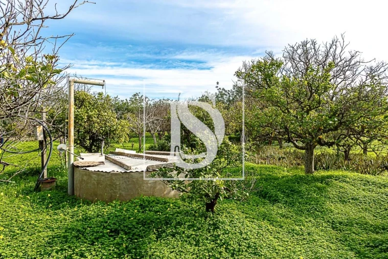 Moradia T4 para Venda em Conceição e Cabanas de Tavira Foto 17