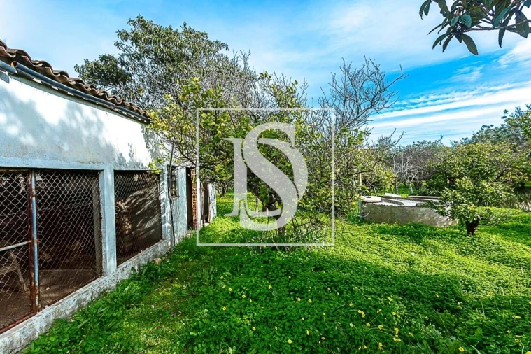 Moradia T4 para Venda em Conceição e Cabanas de Tavira Foto 22