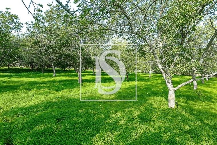 Moradia T4 para Venda em Conceição e Cabanas de Tavira Foto 18