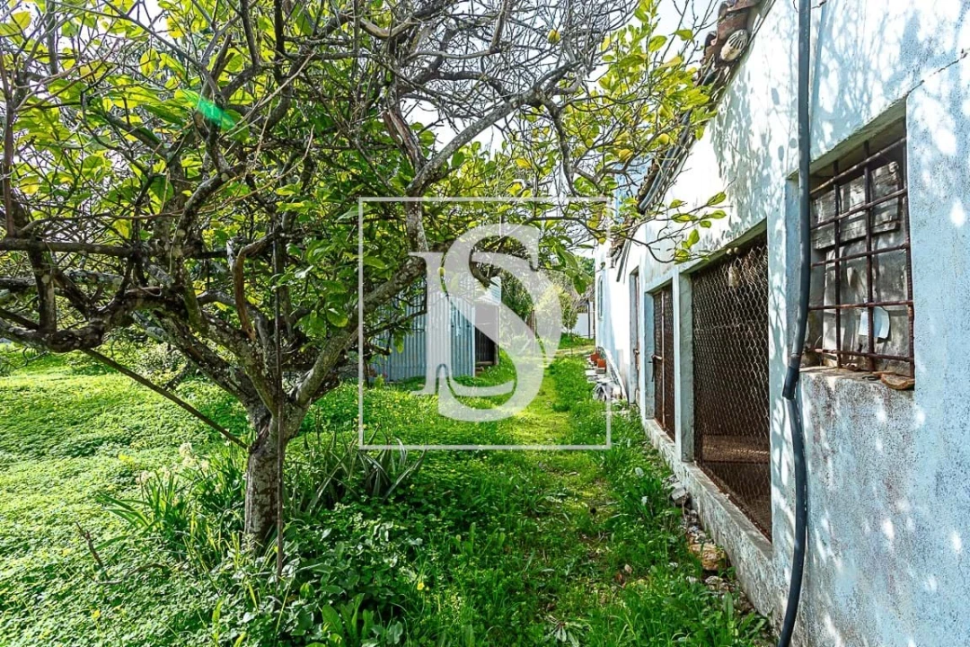 Moradia T4 para Venda em Conceição e Cabanas de Tavira Foto 20