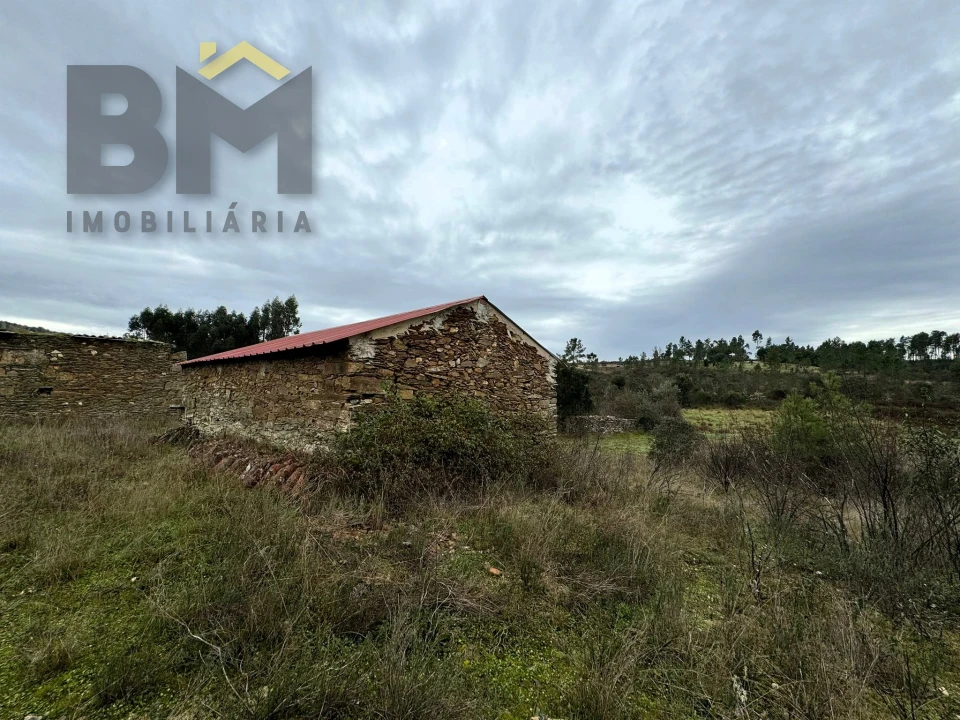 Quinta T0 para Venda em Salgueiro do Campo Foto 3