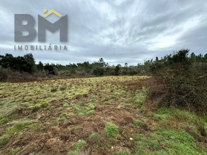 Quinta T0 para Venda em Salgueiro do Campo Foto 10