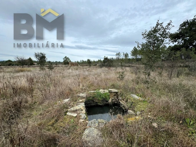 Quinta T0 para Venda em Salgueiro do Campo Foto 6