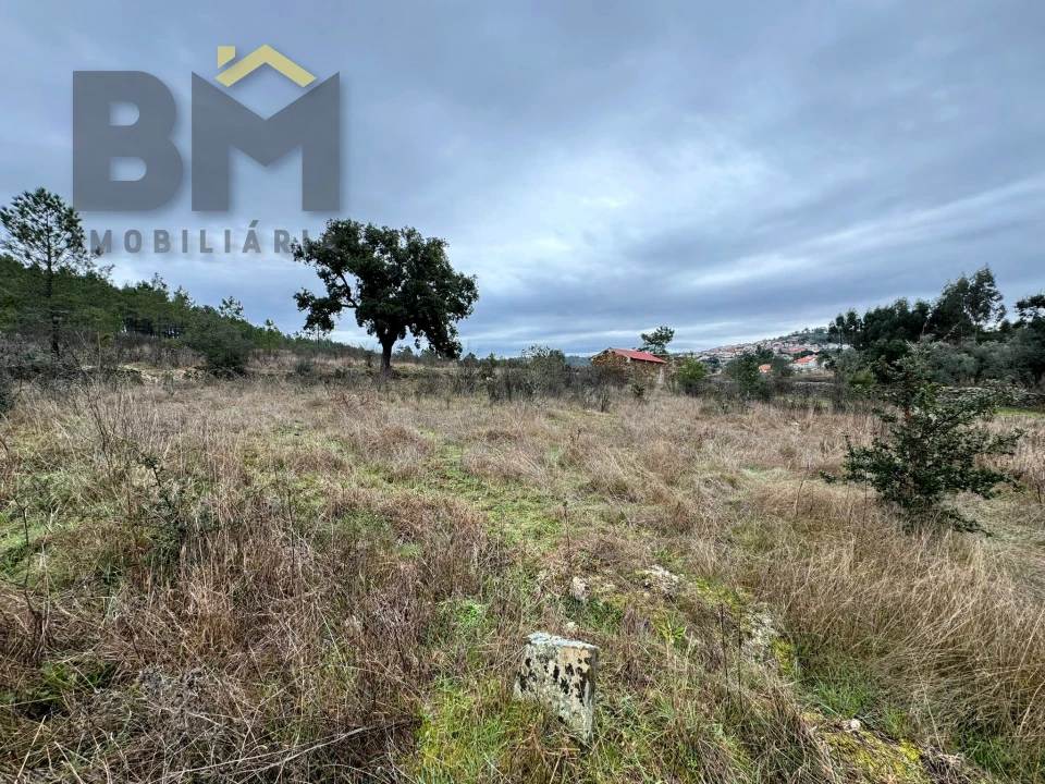 Quinta T0 para Venda em Salgueiro do Campo Foto 8