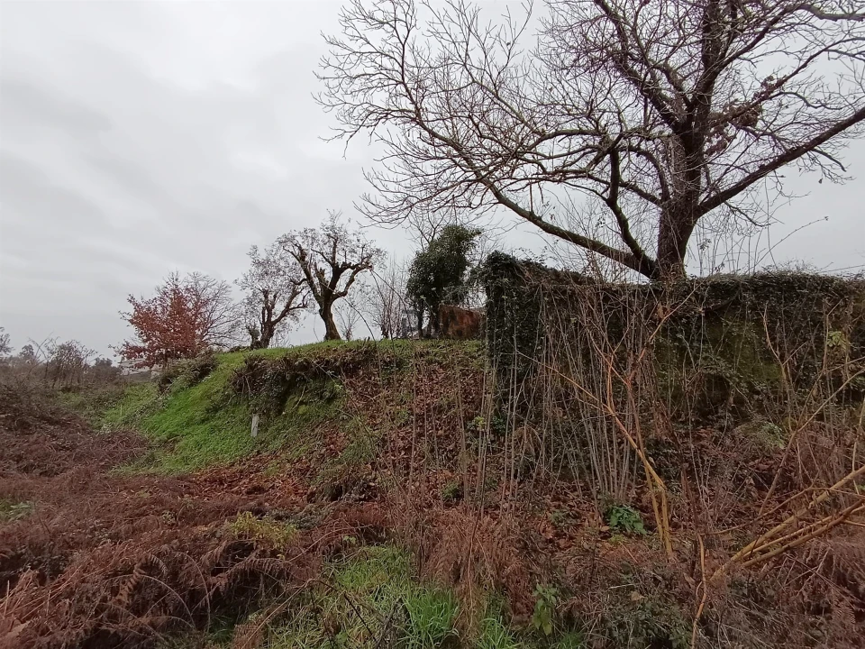 Moradia T3 para Venda em Santa Comba Dão e Couto do Mosteiro Foto 14