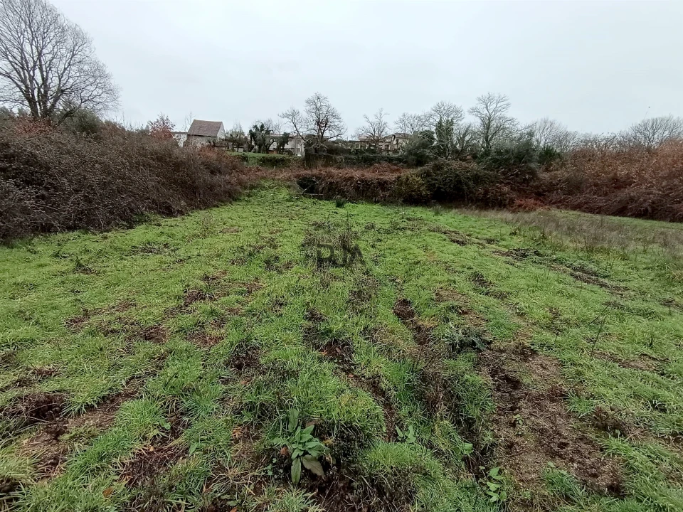 Moradia T3 para Venda em Santa Comba Dão e Couto do Mosteiro Foto 6