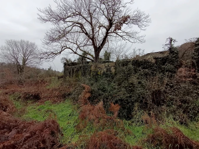 Moradia T3 para Venda em Santa Comba Dão e Couto do Mosteiro Foto 13