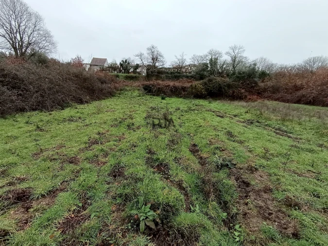 Moradia T3 para Venda em Santa Comba Dão e Couto do Mosteiro Foto 6