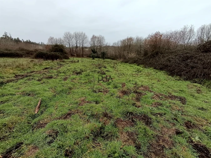 Moradia T3 para Venda em Santa Comba Dão e Couto do Mosteiro Foto 4