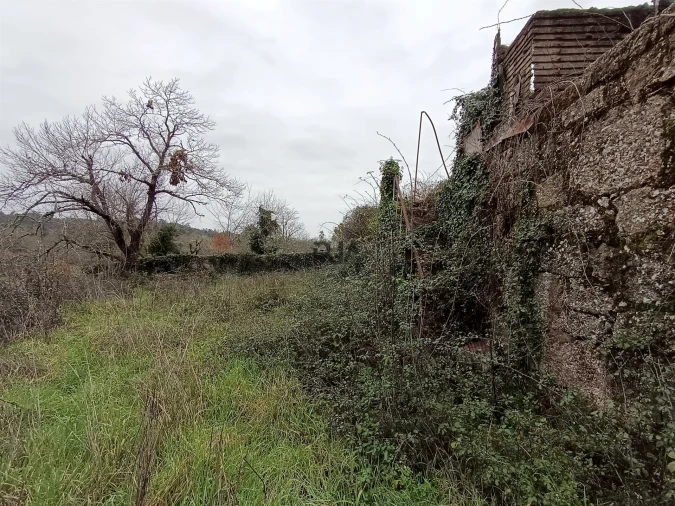 Moradia T3 para Venda em Santa Comba Dão e Couto do Mosteiro Foto 7