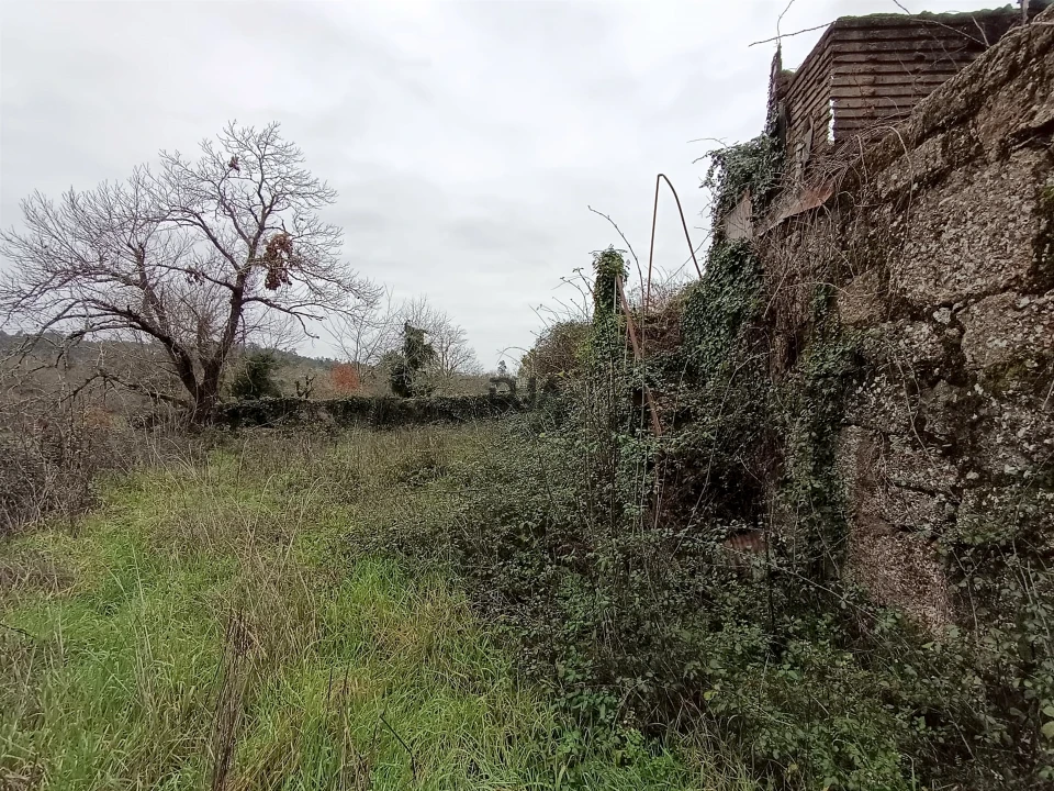 Moradia T3 para Venda em Santa Comba Dão e Couto do Mosteiro Foto 7