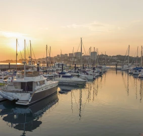 Apartamento T4 para Venda em Canidelo