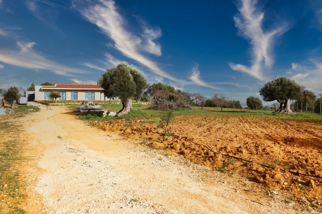 Moradia T3 para Venda em Algoz e Tunes Foto 3