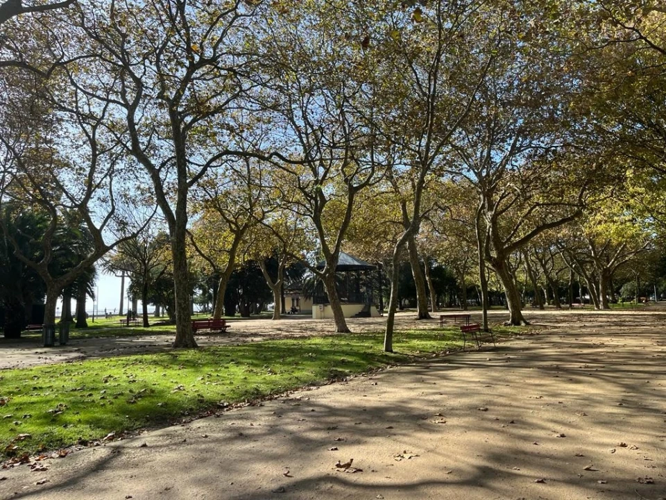 Moradia T2 para Arrendamento em Lordelo do Ouro e Massarelos Foto 23