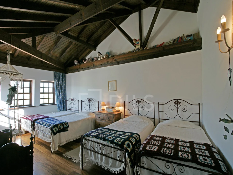 Quinta T7 para Venda em Mangualde, Mesquitela e Cunha Alta Foto 5