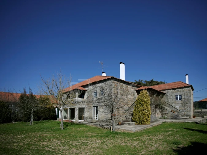 Quinta T7 para Venda em Mangualde, Mesquitela e Cunha Alta Foto 14