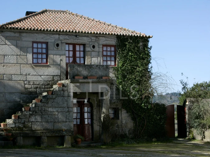 Quinta T7 para Venda em Mangualde, Mesquitela e Cunha Alta Foto 15