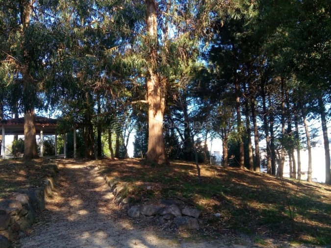 Terreno para Venda em Pedroso e Seixezelo Foto 7
