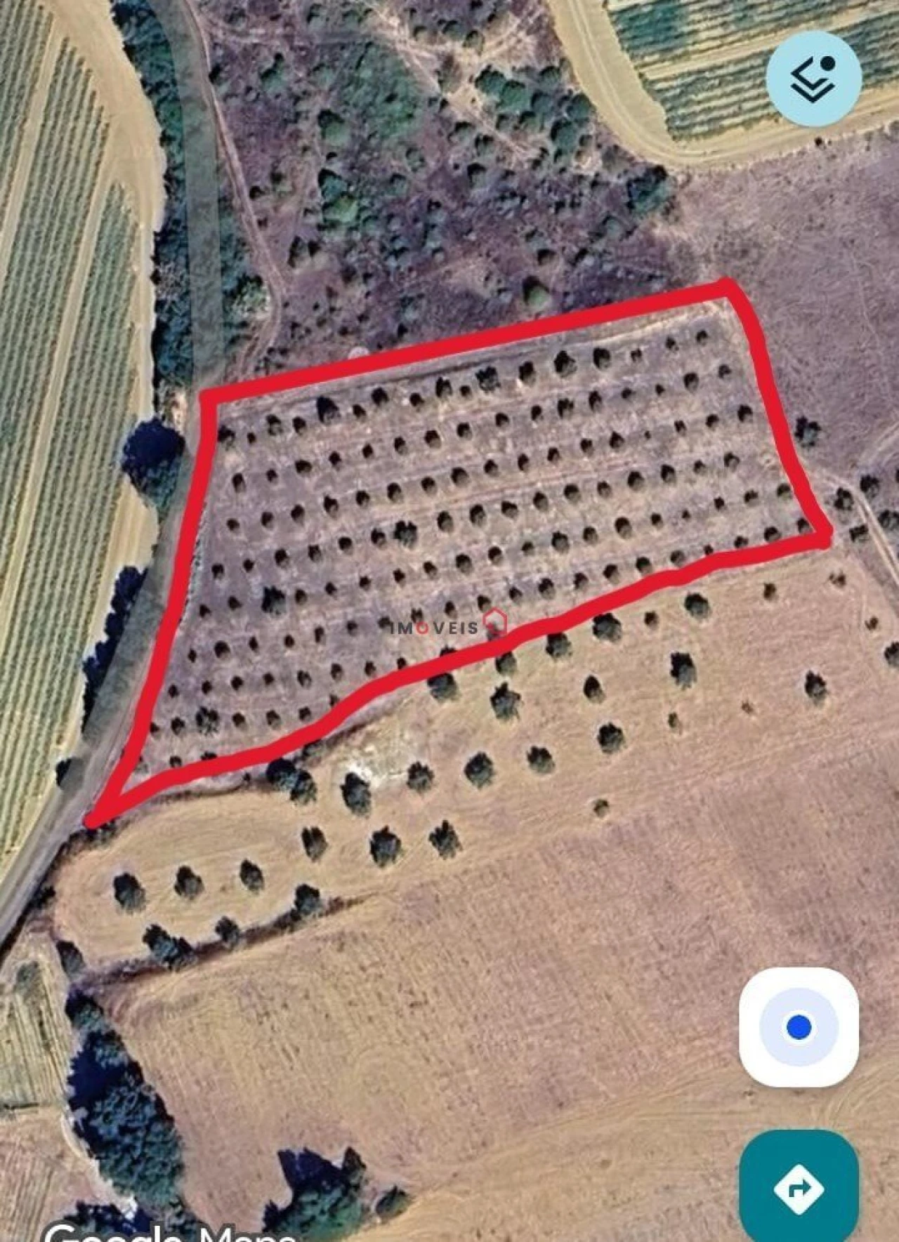 Terreno para Venda em Romeira e Várzea Foto 10