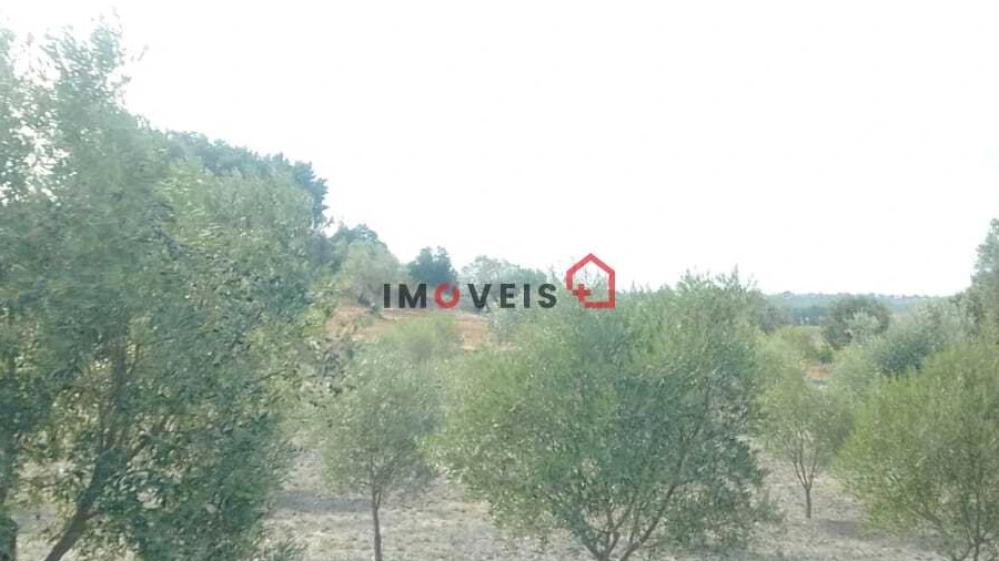Terreno para Venda em Romeira e Várzea