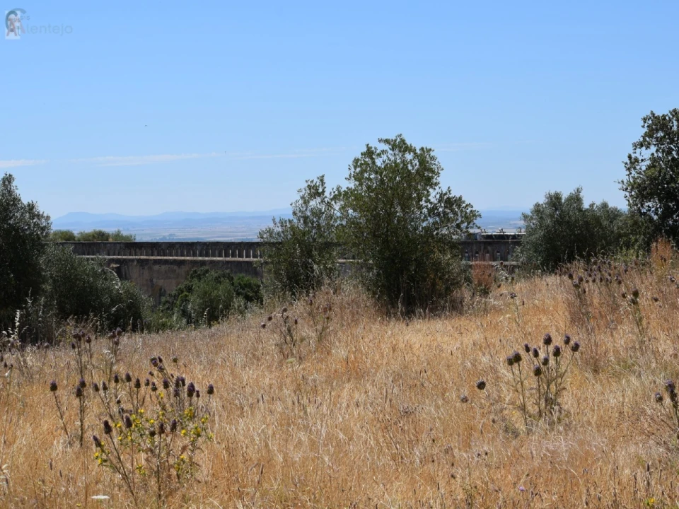 Terreno para Venda em Caia, São Pedro e Alcáçova Foto 7