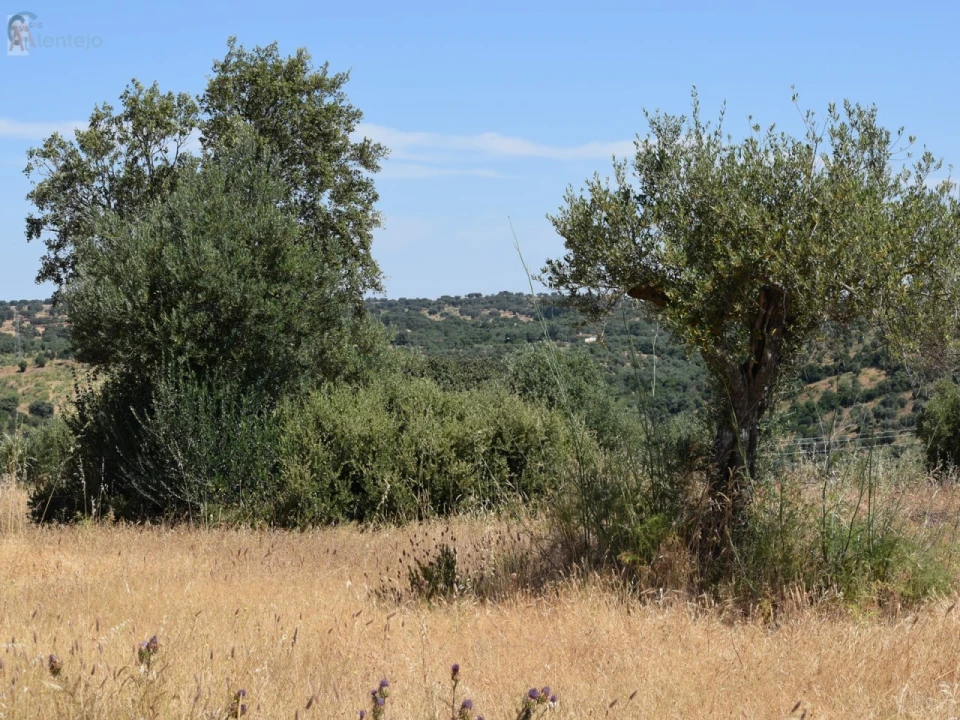 Terreno para Venda em Caia, São Pedro e Alcáçova Foto 8