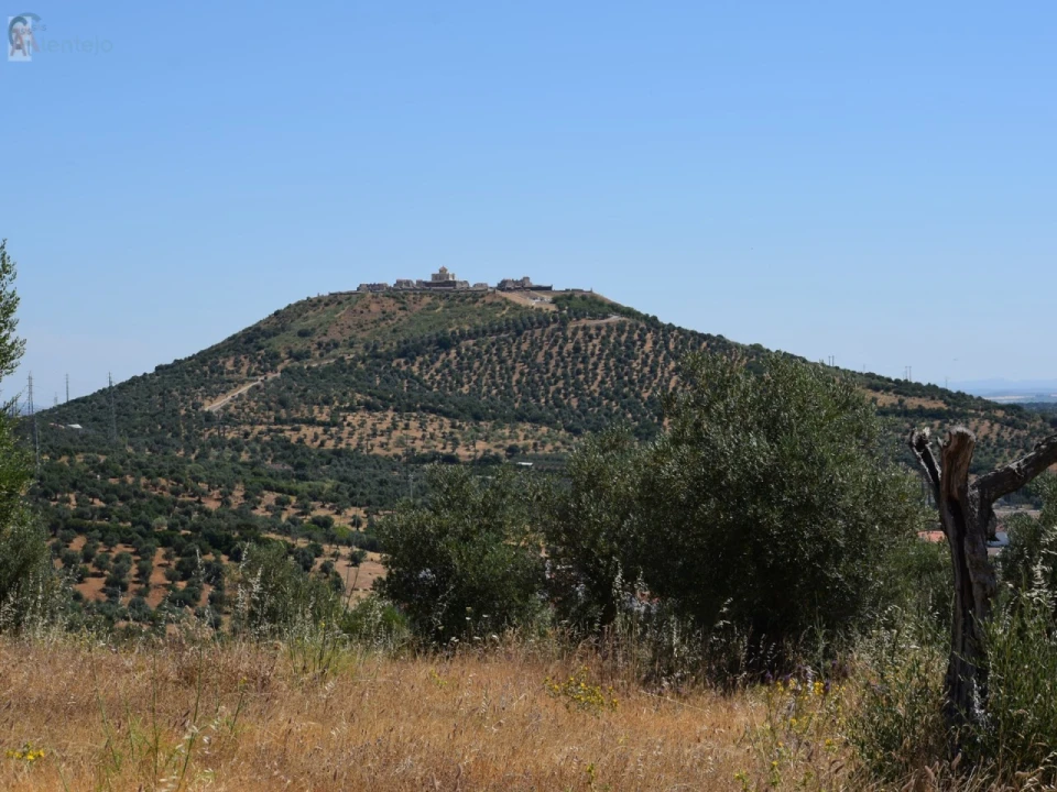 Terreno para Venda em Caia, São Pedro e Alcáçova Foto 1