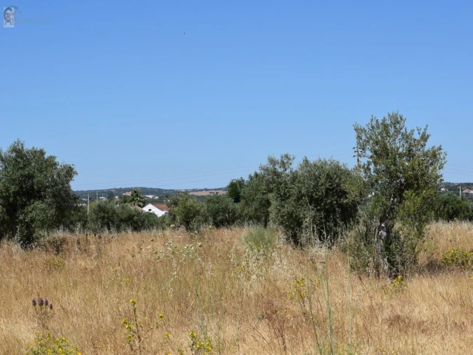 Terreno para Venda em Caia, São Pedro e Alcáçova Foto 2