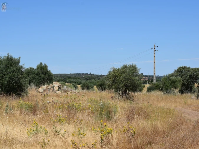 Terreno para Venda em Caia, São Pedro e Alcáçova Foto 9