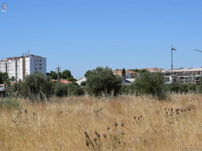 Terreno para Venda em Caia, São Pedro e Alcáçova Foto 13