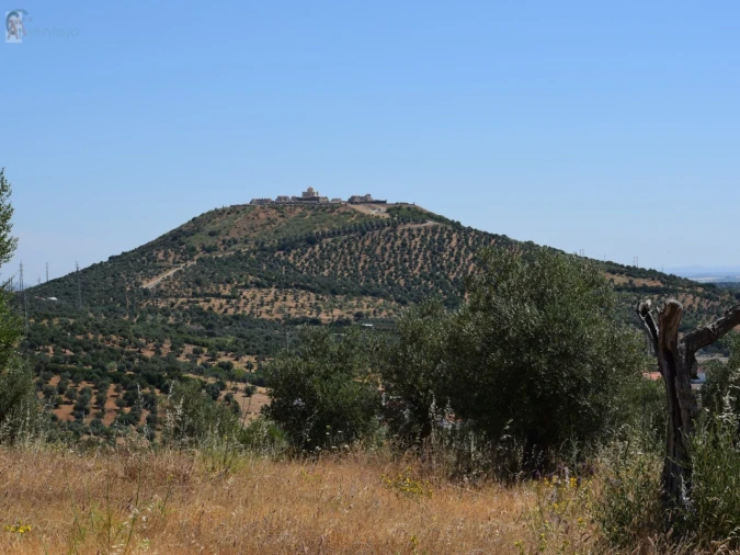 Terreno para Venda em Caia, São Pedro e Alcáçova Foto 1