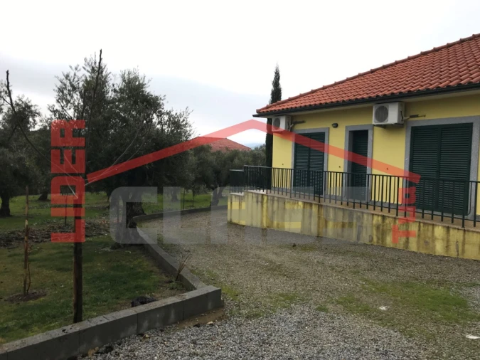 Moradia T3 para Venda em Assares e Lodões Foto 32