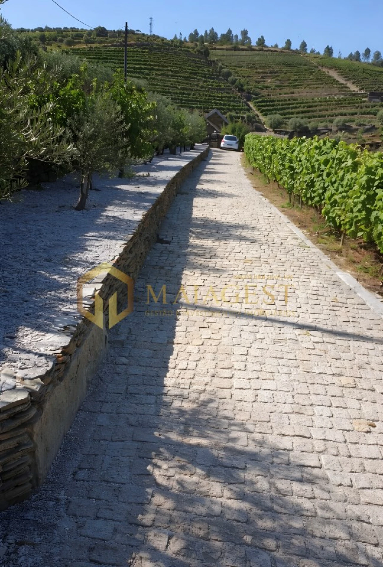 Quinta T3 para Venda em Tabuaço Foto 2