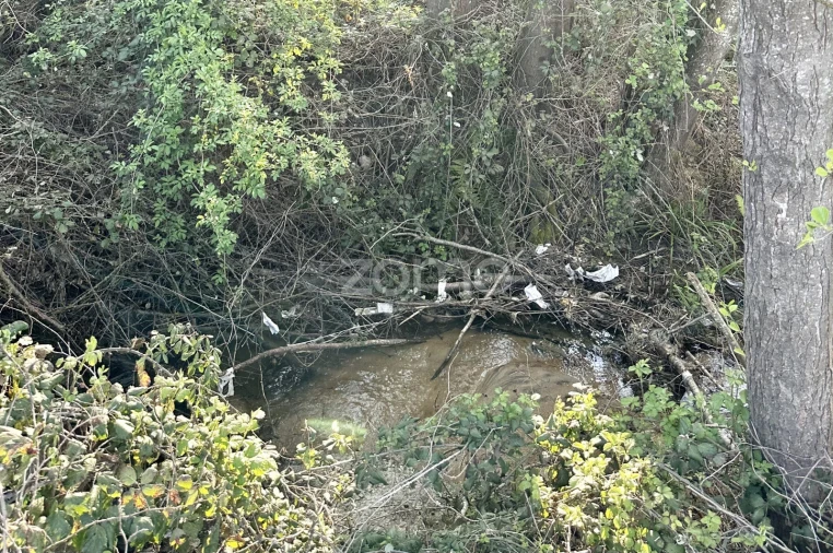 Terreno para Venda em Fundão, Valverde, Donas, A. Joanes, A. Nova Cabo Foto 15