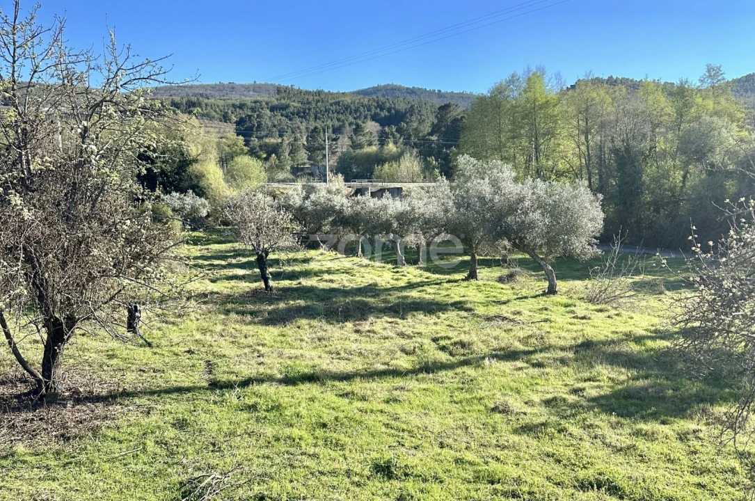 Terreno para Venda em Fundão, Valverde, Donas, A. Joanes, A. Nova Cabo Foto 12