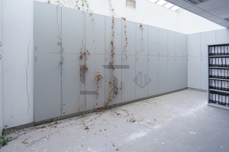 Escritório para Venda em Lumiar Foto 13