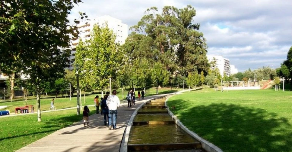 Escritório para Venda em Lumiar Foto 27