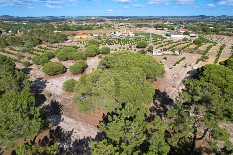 Moradia T3 para Venda em Melides Foto 15