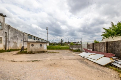 Terreno para Venda em Marrazes e Barosa