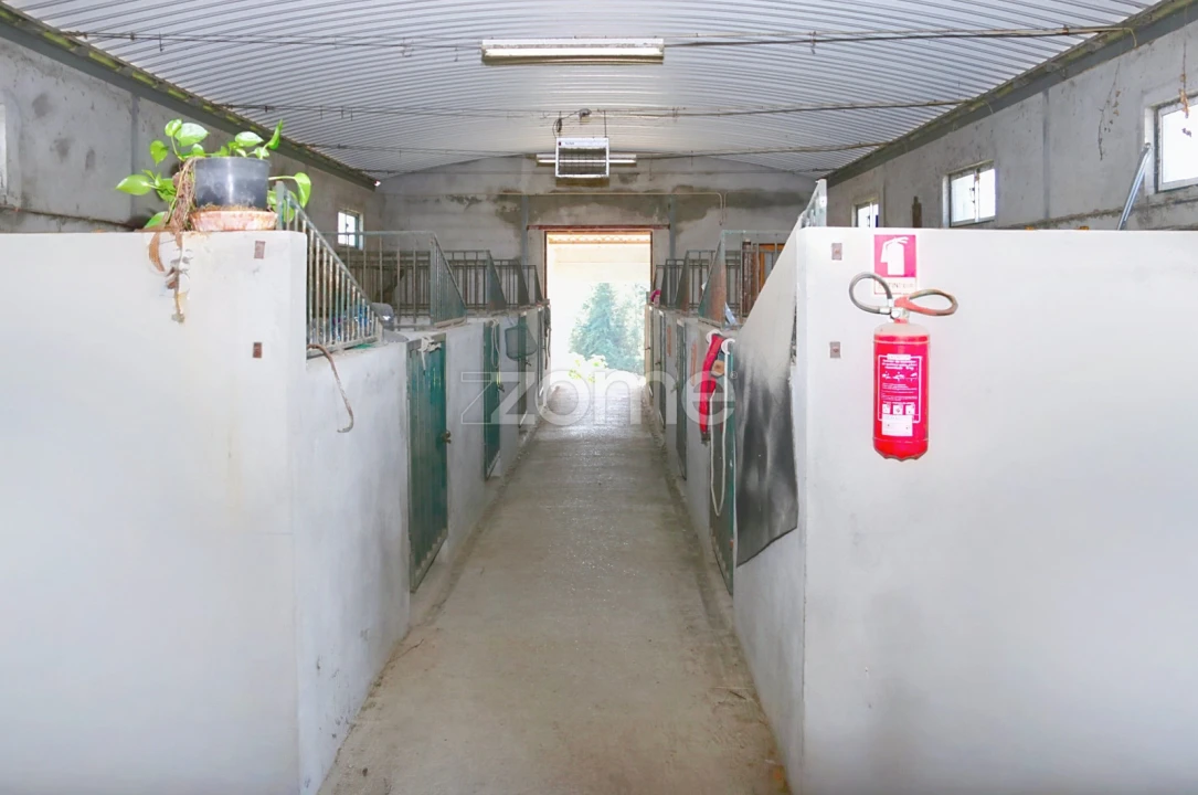 Quinta T5 para Venda em Marvila, Ribeira Santarém, São Salvador, São Nicolau Foto 22