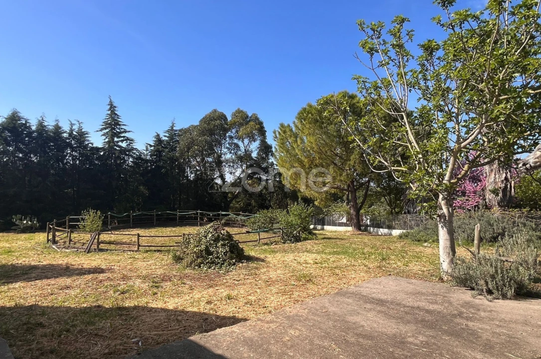 Quinta T5 para Venda em São Vicente do Paul e Vale de Figueira Foto 56