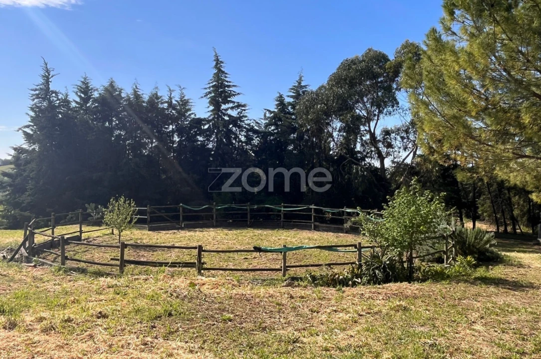 Quinta T5 para Venda em São Vicente do Paul e Vale de Figueira Foto 57