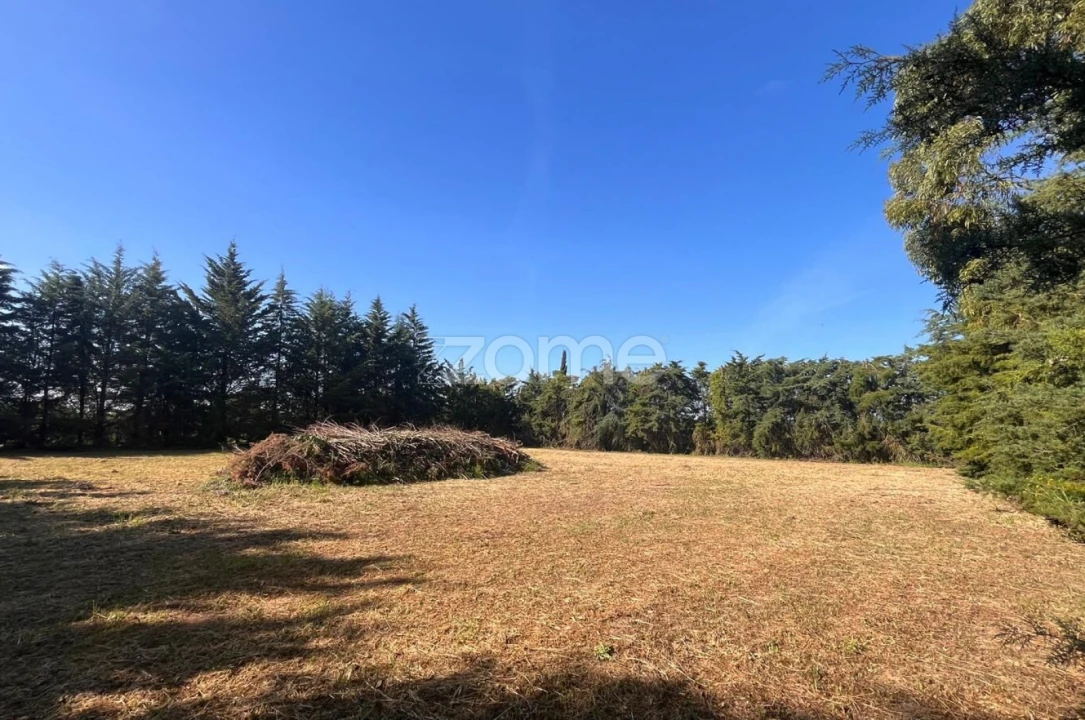 Quinta T5 para Venda em São Vicente do Paul e Vale de Figueira Foto 61