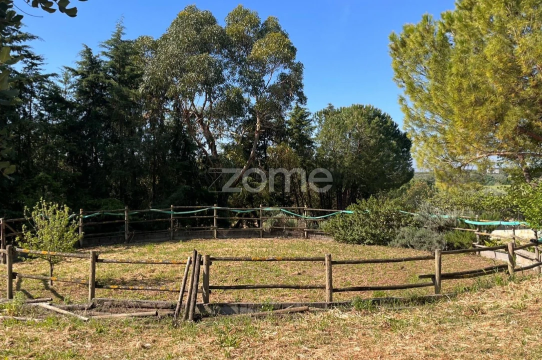 Quinta T5 para Venda em São Vicente do Paul e Vale de Figueira Foto 58