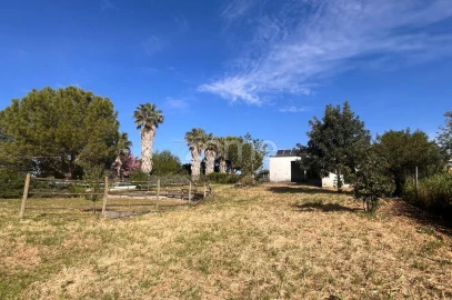 Quinta T5 para Venda em São Vicente do Paul e Vale de Figueira
